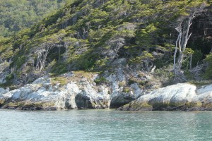 Tierra del Fuego National Park