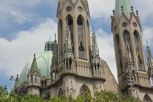 Vulture at Catedral da Se