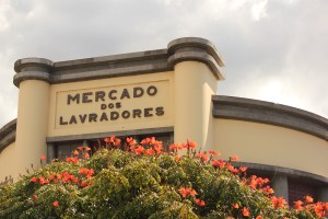 Funchal Market