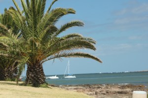 Beach at Punta del Estes