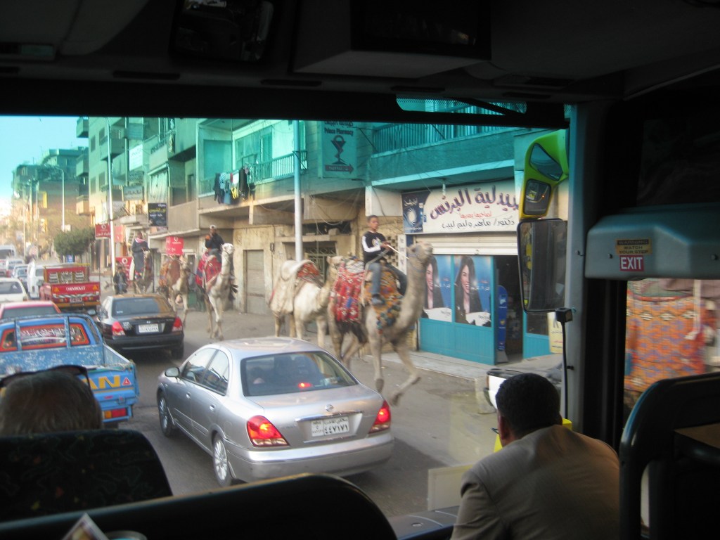 Navigating the streets of Cairo