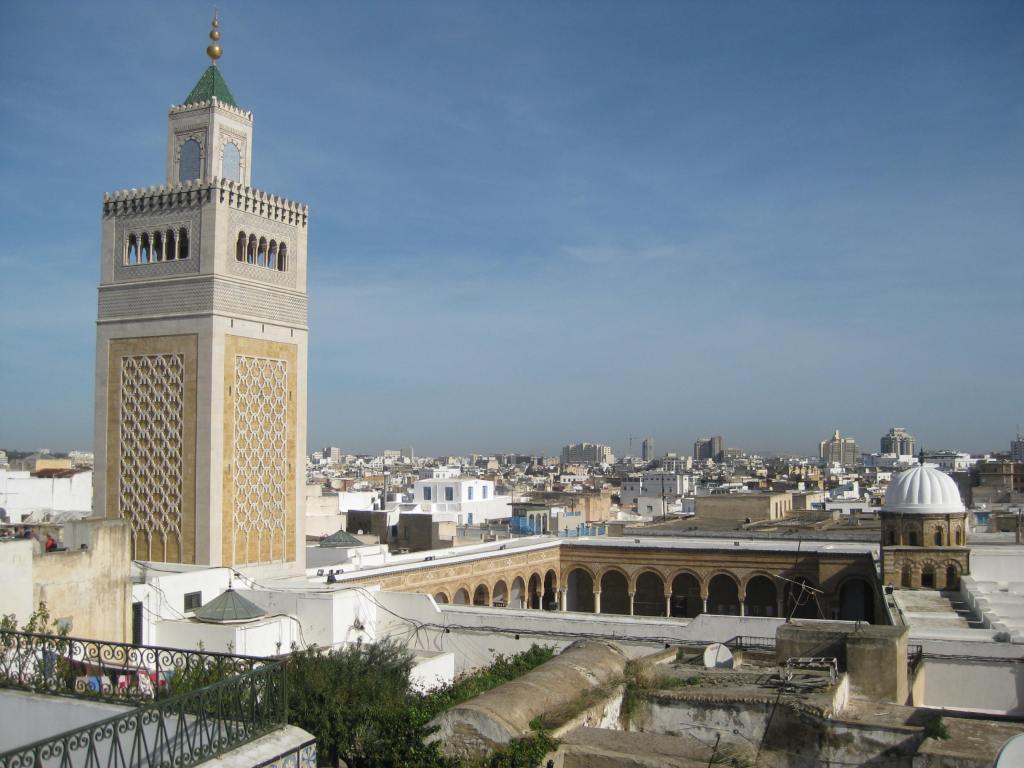 Rooftop view of mosque in Tunis