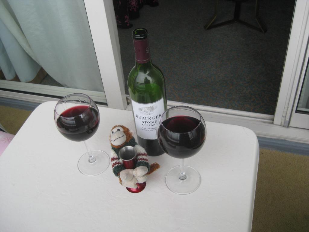 Sharing wine with my travel buddy, Bryan the monkey.