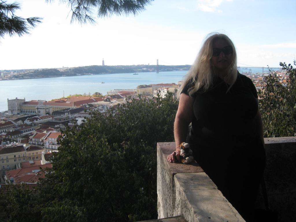 View from the Castelo de Sao Jorge
