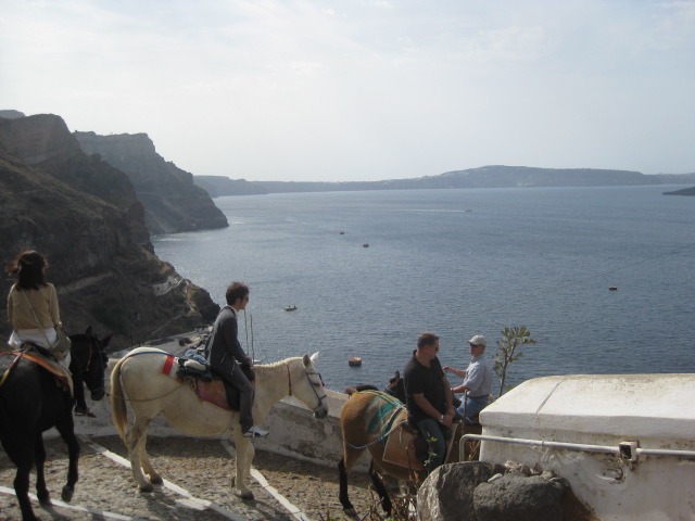 And more donkeys on the stairs