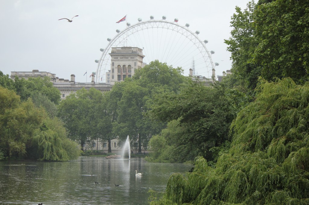 Views from St. James Park
