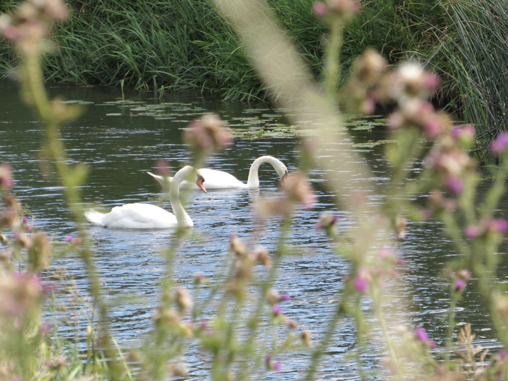 A walk in the English&nbsp;countryside
