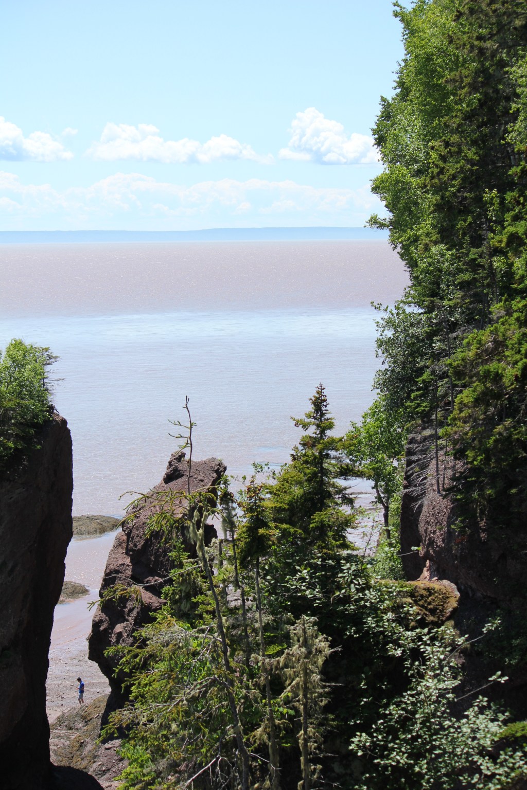 H is for Hopewell&nbsp;Rocks